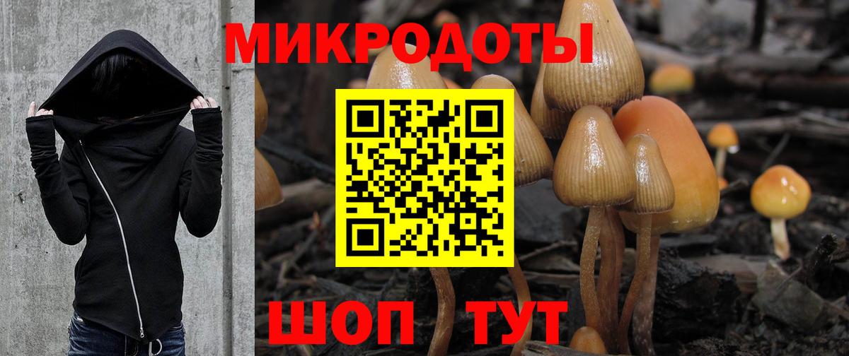 Улан-Удэ  Галлюциногенные грибы мухоморы  Вход с VPN 